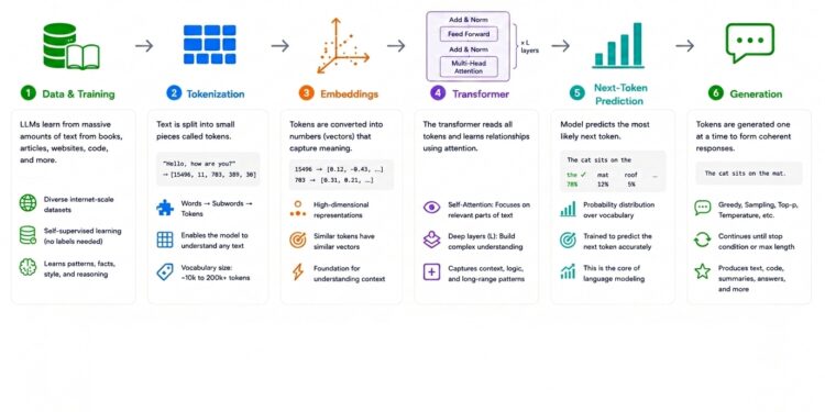 How Large Language Models Actually Work (LLMs)?